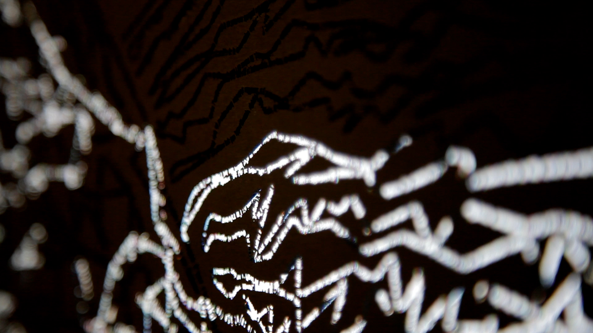 2017 Posologie  Exposition la lecon d'anatomie détail